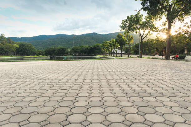 Best Commercial Driveway Pavers  in Ben Avon, SC